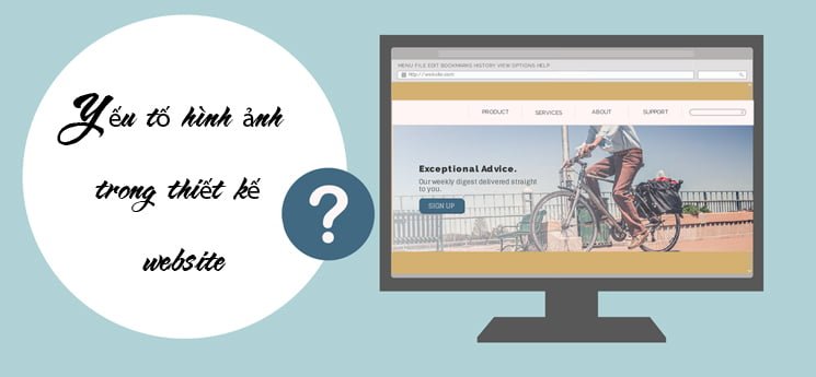 Chất Lượng Hình Ảnh Trong Website